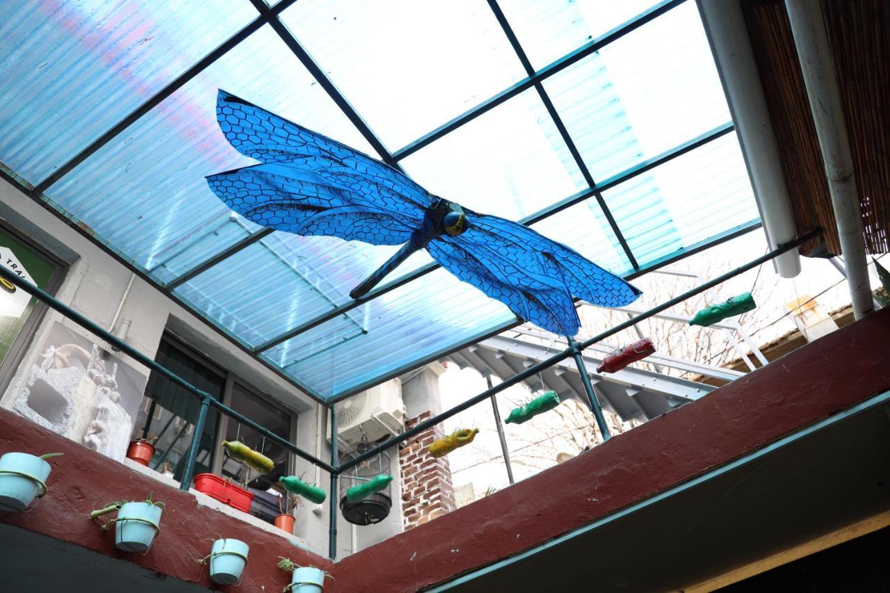 Hoja Hostel Tirana Kültér fotó